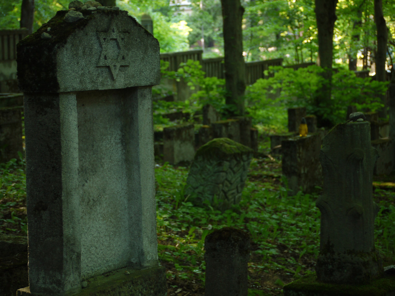 Fot. Ewa Jaros (czupirek) (CC BY-SA 3.0 pl) Fot. Ewa Jaros (czupirek) (CC BY-SA 3.0 pl)