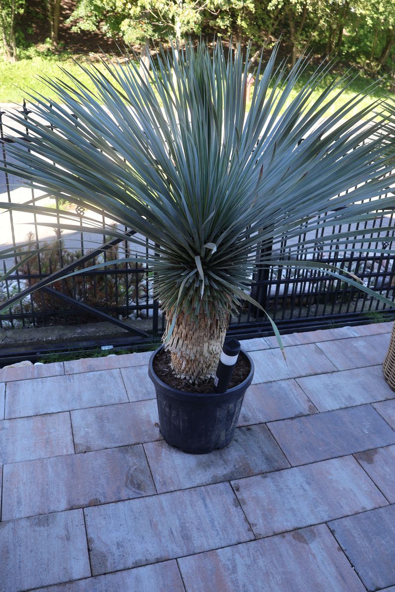 Fot. Komenda Miejska Policji w Sopocie Fot. Komenda Miejska Policji w Sopocie