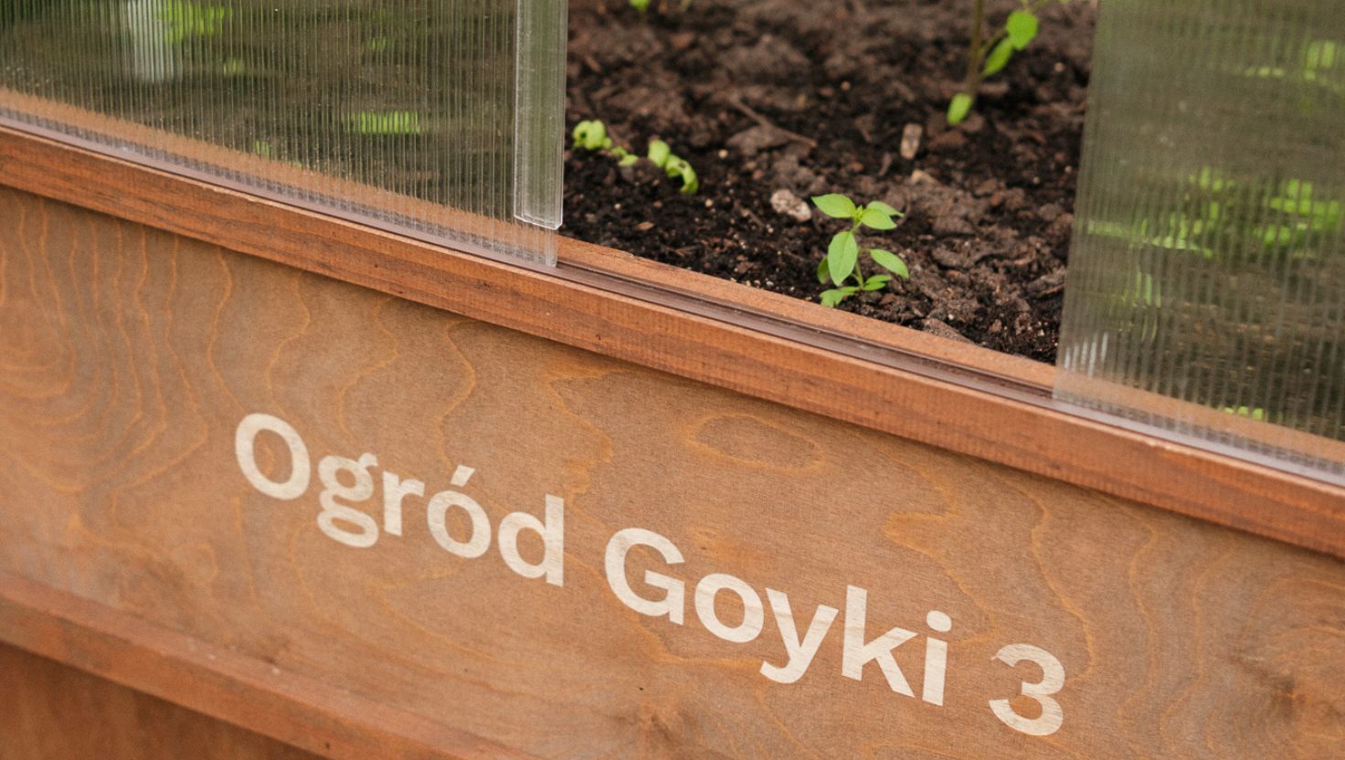 Materiały Goyki 3 Art Inkubatora. Materiały Goyki 3 Art Inkubatora.