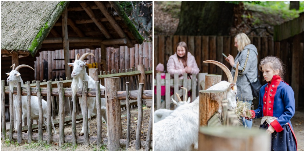 Fot. Anna Nagel. esopot.pl