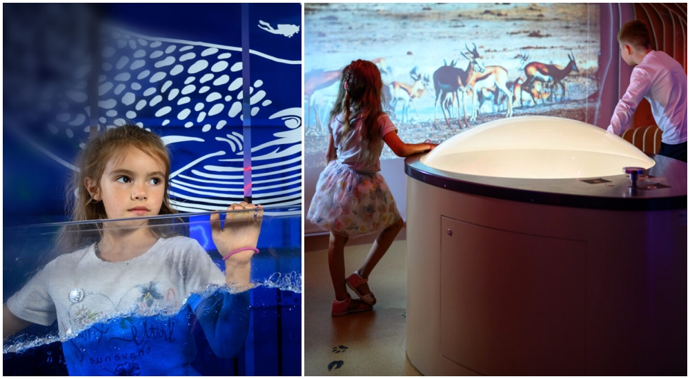 Fot. Hevelianum Gdańsk  Fot. Hevelianum Gdańsk zajęcia dla dzieci ferie zima