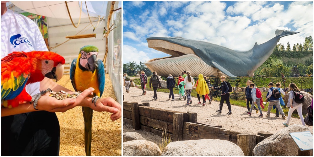 Fot. Ocean Park Władysławowo / atrakcje dla dzieci majówka Ocean Park Władysławowo - atrakcje dla dzieci majówka