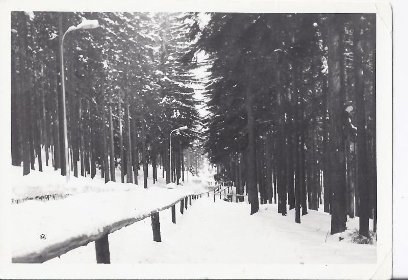 Tor saneczkowy w Sopocie, koniec lat 50. XX w. Fotografia ze zbiorów Muzeum Sopotu. Tor saneczkowy w Sopocie, koniec lat 50. XX w. Fotografia ze zbiorów Muzeum Sopotu.